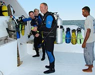 Tauchsafari im Roten Meer