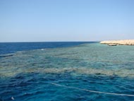 Tauchsafari im Roten Meer